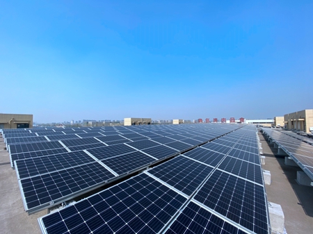 IMG_1813.HEIC.JPG_副本.jpg IMG_1813.HEIC.JPG_副本.jpg