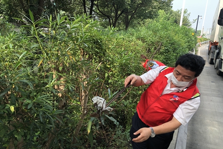嘉通信息2020-175-6_集團.jpg 嘉通信息2020-175-6_集團.jpg